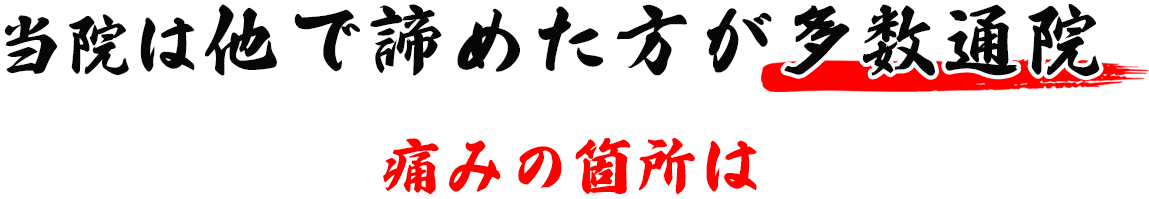 当院は他で諦めた方が多数通院 痛みの箇所は