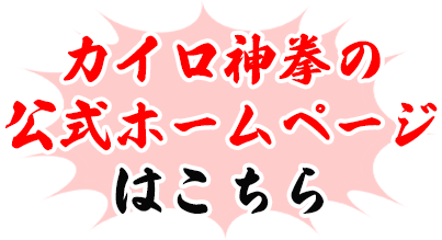 カイロ神拳の 公式ホームページ はこちら